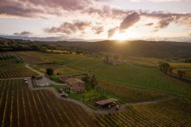 מועדון היין הטוב