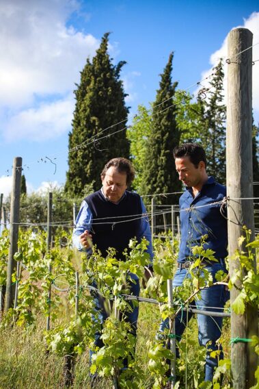 מועדון היין הטוב