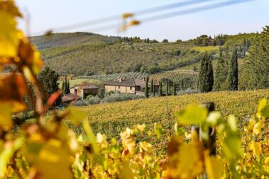 מועדון היין הטוב