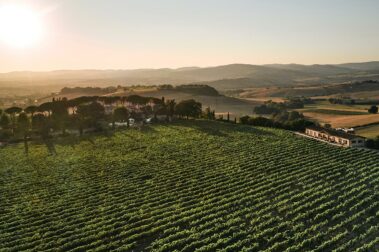 מועדון היין הטוב