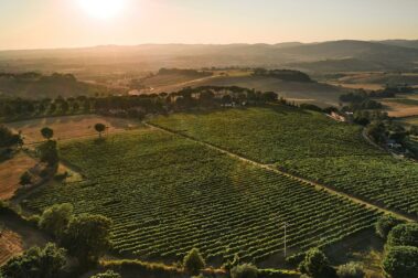 מועדון היין הטוב