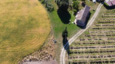 מועדון היין הטוב
