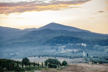 מועדון היין הטוב