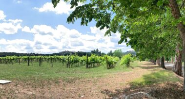 מועדון היין הטוב