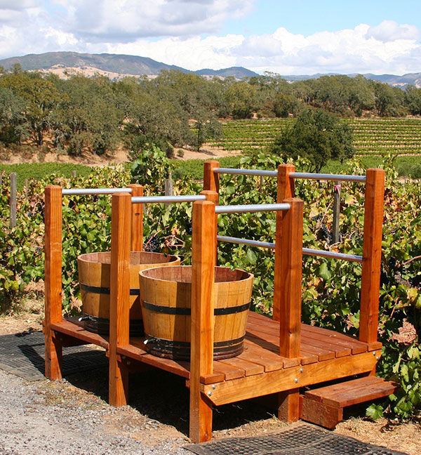 Agriturismo Agriturismo